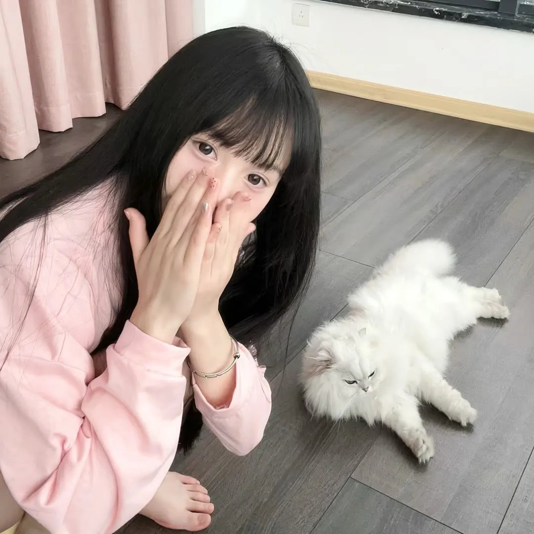 辛巴达与美人鱼公主